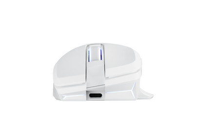 PowerColor ALPHYN AM10 Wireless Gaming Mouse